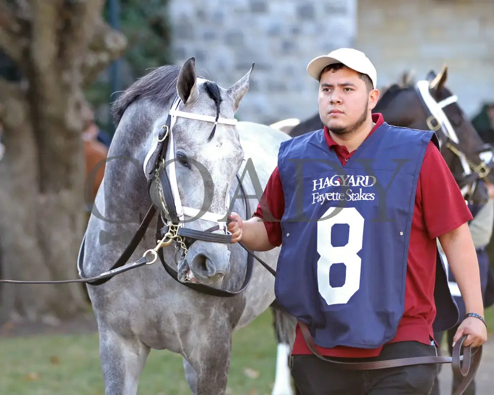 Hit Show - The Hagyard Fayette 102624 Race 08 Kee Paddock 02 Keeneland