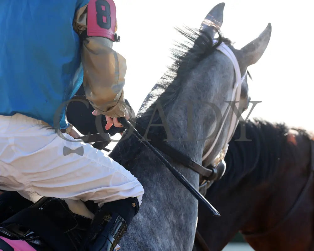 Hit Show - The Hagyard Fayette 102624 Race 08 Kee Post Parade 02 Keeneland