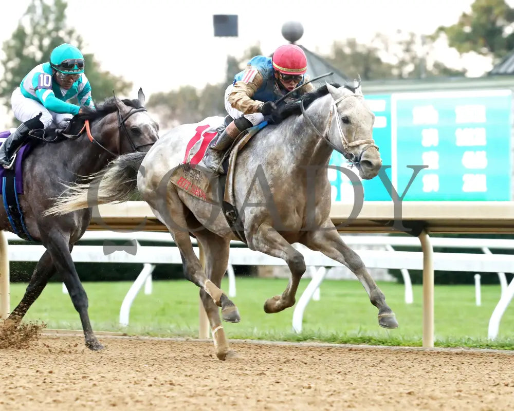 HIT SHOW - The Hagyard Fayette G3 - 10-25-25 - R09 - KEE - Finish 02 Indiana Grand