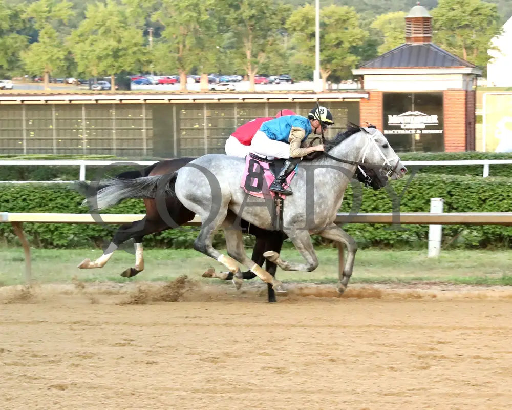 HIT SHOW - The West Virginia Governor’s Stakes - 08-03-25 - R07 - MNR - Finish 01 Mountaineer Park