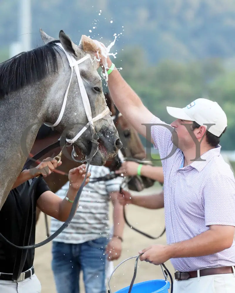 Hit Show - The West Virginia Governor’s Stakes G3 08-04-24 R07 Mnr Come Back 02 Mountaineer Park