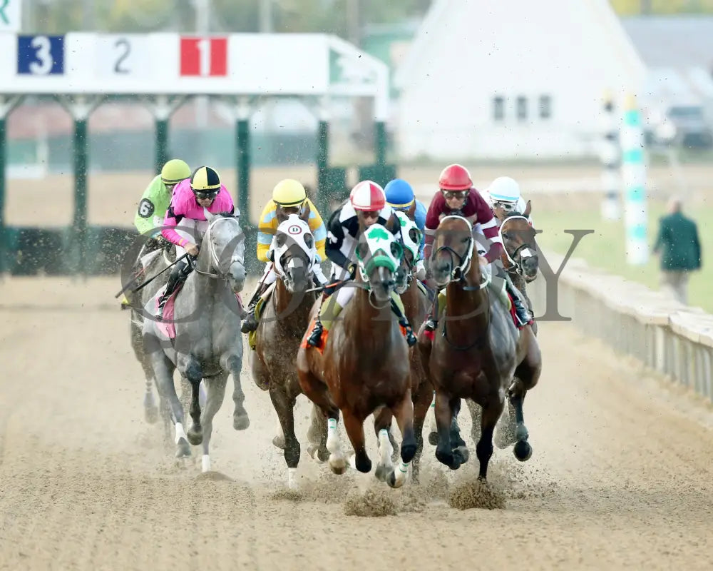 Hit Show - The West Virginia Governor’s Stakes G3 08-04-24 R07 Mnr First Turn 01 Mountaineer Park