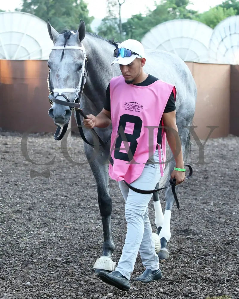 Hit Show - The West Virginia Governor’s Stakes G3 08-04-24 R07 Mnr Paddock 01 Mountaineer Park