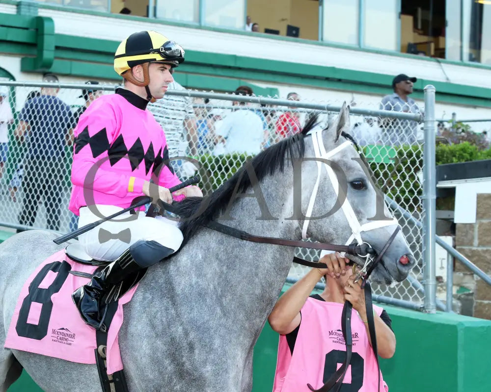 Hit Show - The West Virginia Governor’s Stakes G3 08-04-24 R07 Mnr Paddock 02 Mountaineer Park