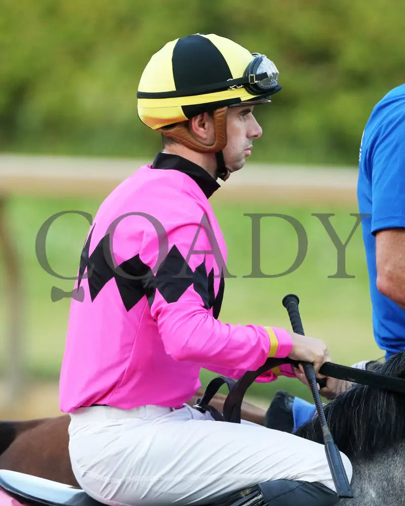 Hit Show - The West Virginia Governor’s Stakes G3 08-04-24 R07 Mnr Post Parade 01 Mountaineer Park