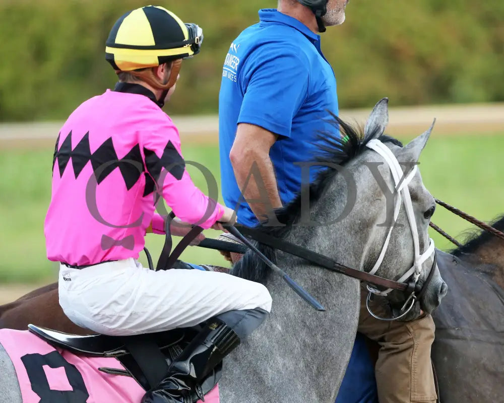 Hit Show - The West Virginia Governor’s Stakes G3 08-04-24 R07 Mnr Post Parade 02 Mountaineer Park