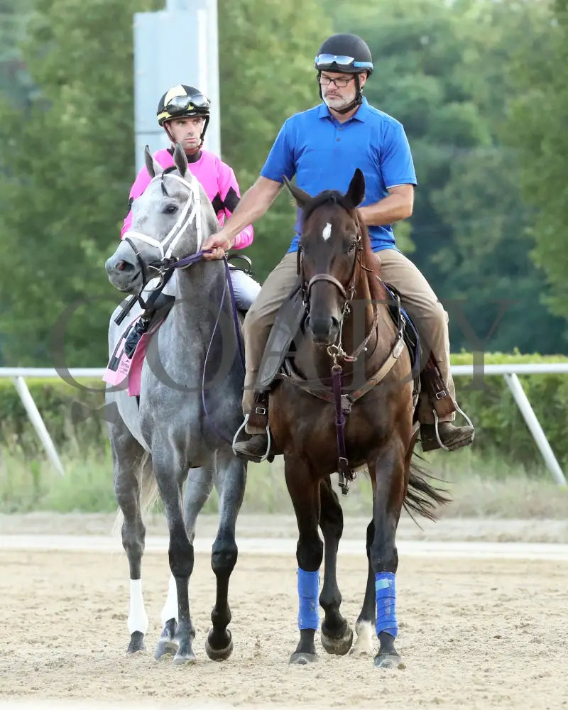 Hit Show - The West Virginia Governor’s Stakes G3 08-04-24 R07 Mnr Post Parade 03 Mountaineer Park