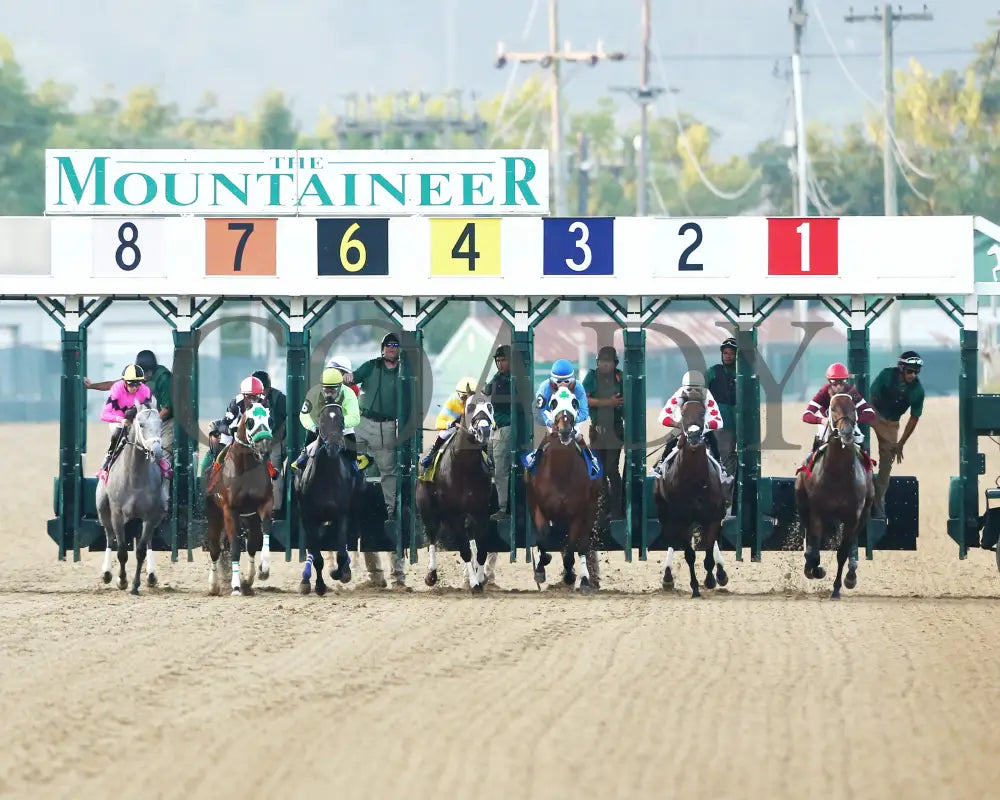 Hit Show - The West Virginia Governor’s Stakes G3 08-04-24 R07 Mnr Start 01 Mountaineer Park