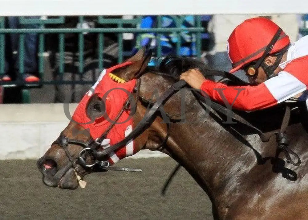 Holiday For Kitten - Inside Finish 2 100811 Ra Keeneland