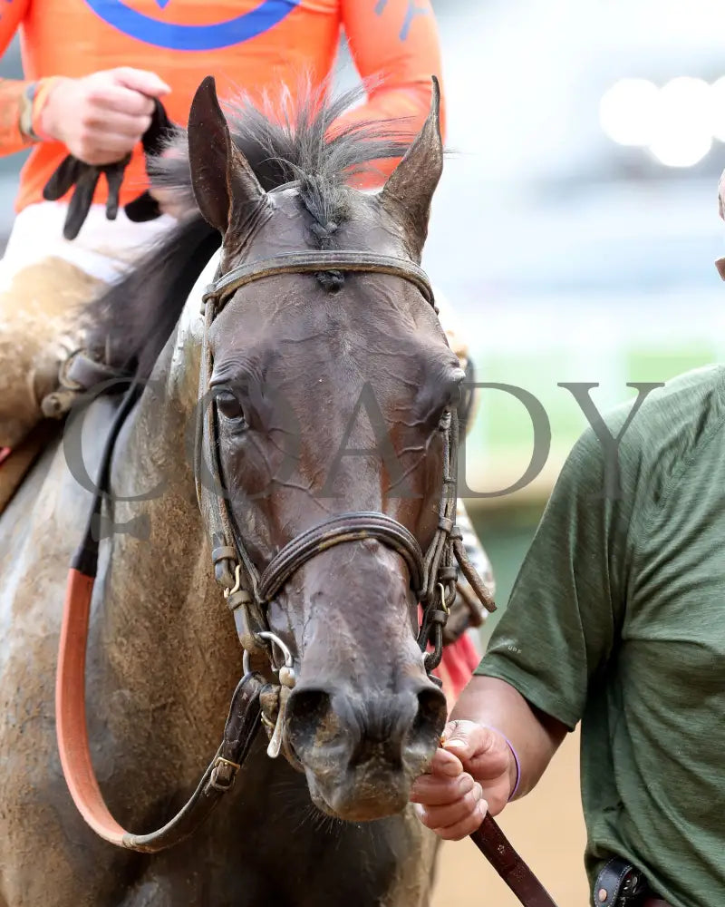 HONOR MARIE - The Isaac Murphy Marathon - 04-30-25 - R08 - CD - Come Back 01 Churchill Downs