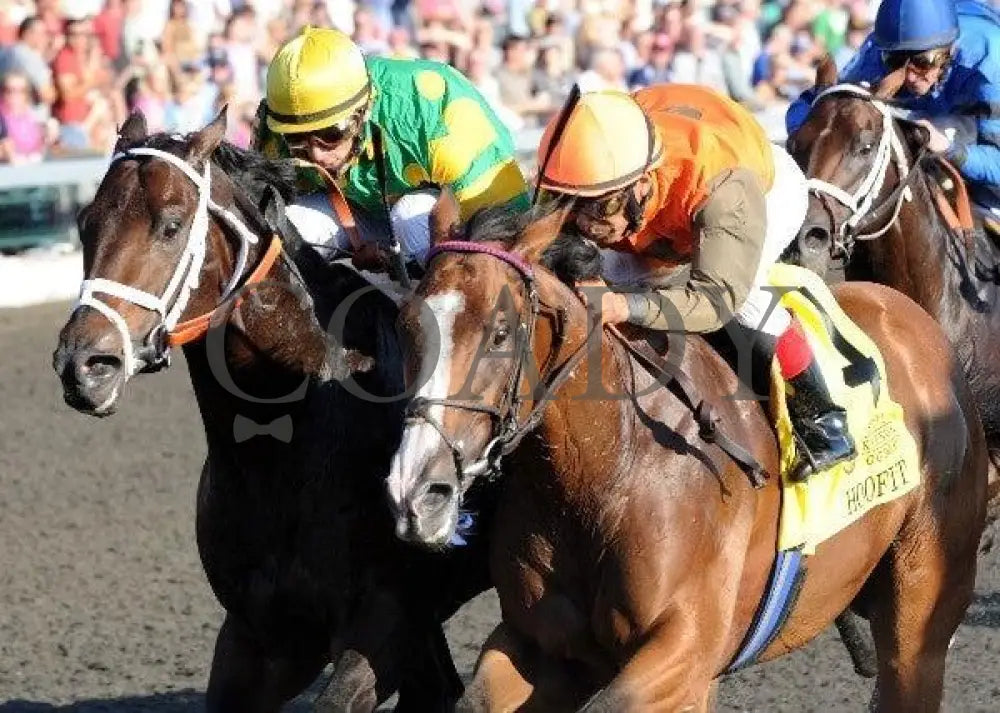 Hoofit - Proof 4 100711 Race 08 Keeneland