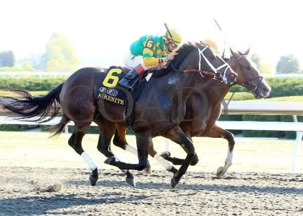 Hoofit - Proof 7 100711 Race 08 Keeneland