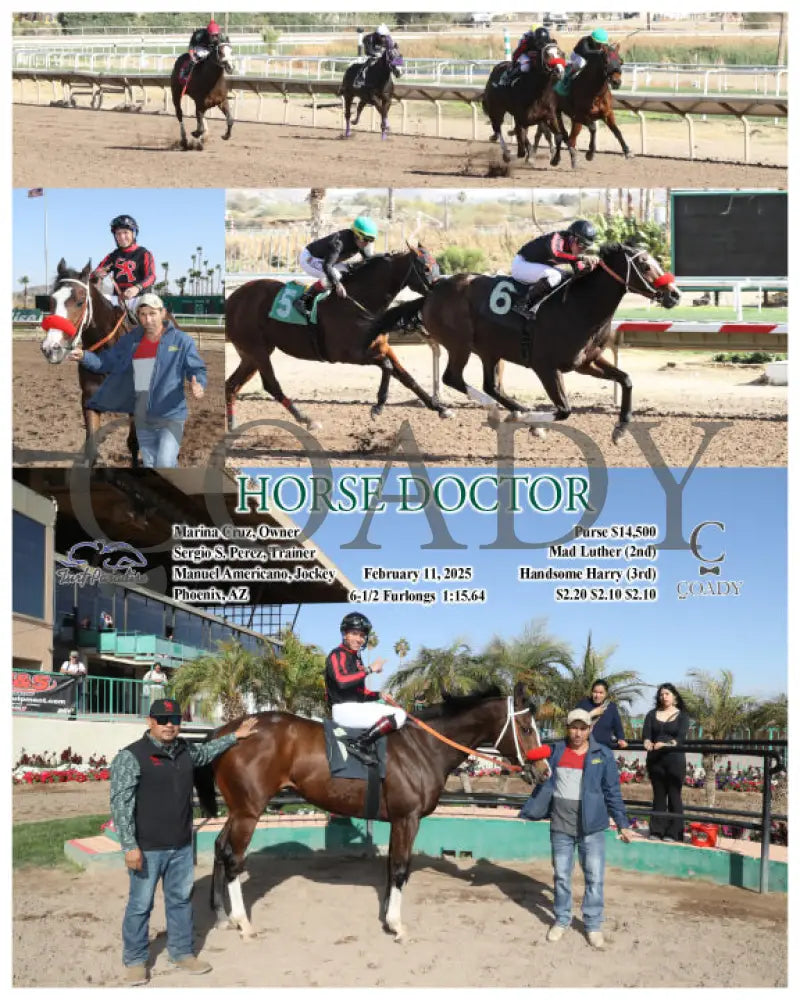 HORSE DOCTOR - 02-11-25 - R05 - TUP - Coady Media - Kurtis Coady Photography