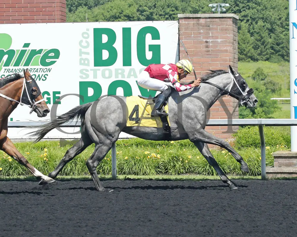 HORSEPOWER - The Karl Boyes Stakes - 19th Running - 07-04-25 - R07 - PID - Finish Presque Isle Downs