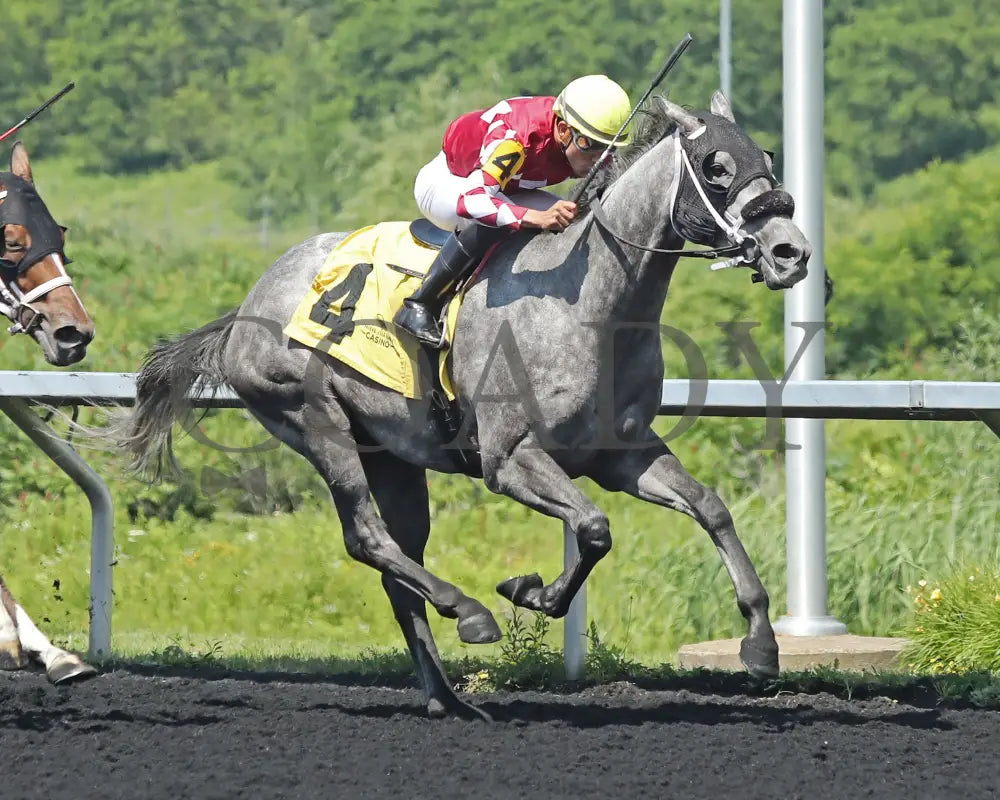 HORSEPOWER - The Karl Boyes Stakes - 19th Running - 07-04-25 - R07 - PID - Tight Finish 01 Presque Isle Downs