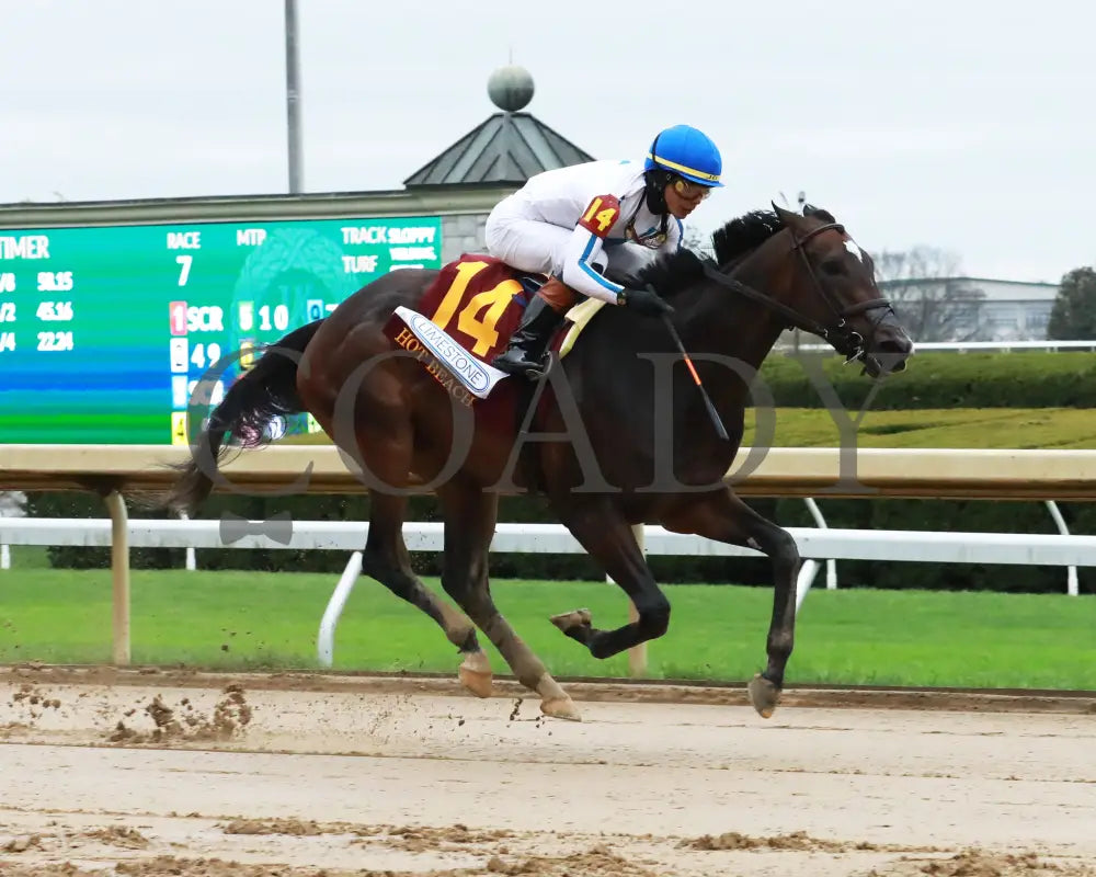 Hot Beach - Fanduel Limestone 5Th Running 04 - 12 - 24 R07 Kee Finish 04 Keeneland