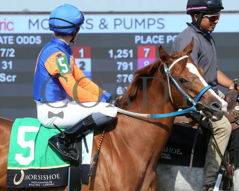 HOT MIDDLES - Hoosier Breeders Sophomore Handicap - 17th Running - 06-11-25 - R07 - Horseshoe Indiana - Post Parade 02
