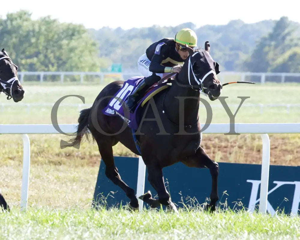 Howard Wolowitz - The Aristocrat Franklin-Simpson Stakes G1 09-07-24 R09 Kd Finish 02 Kentucky Downs