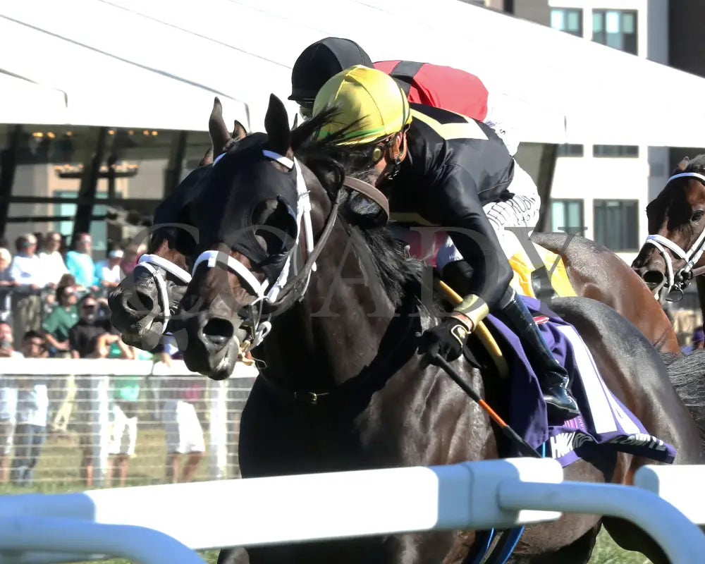 Howard Wolowitz - The Aristocrat Franklin-Simpson Stakes G1 09-07-24 R09 Kd Inside Finish 01