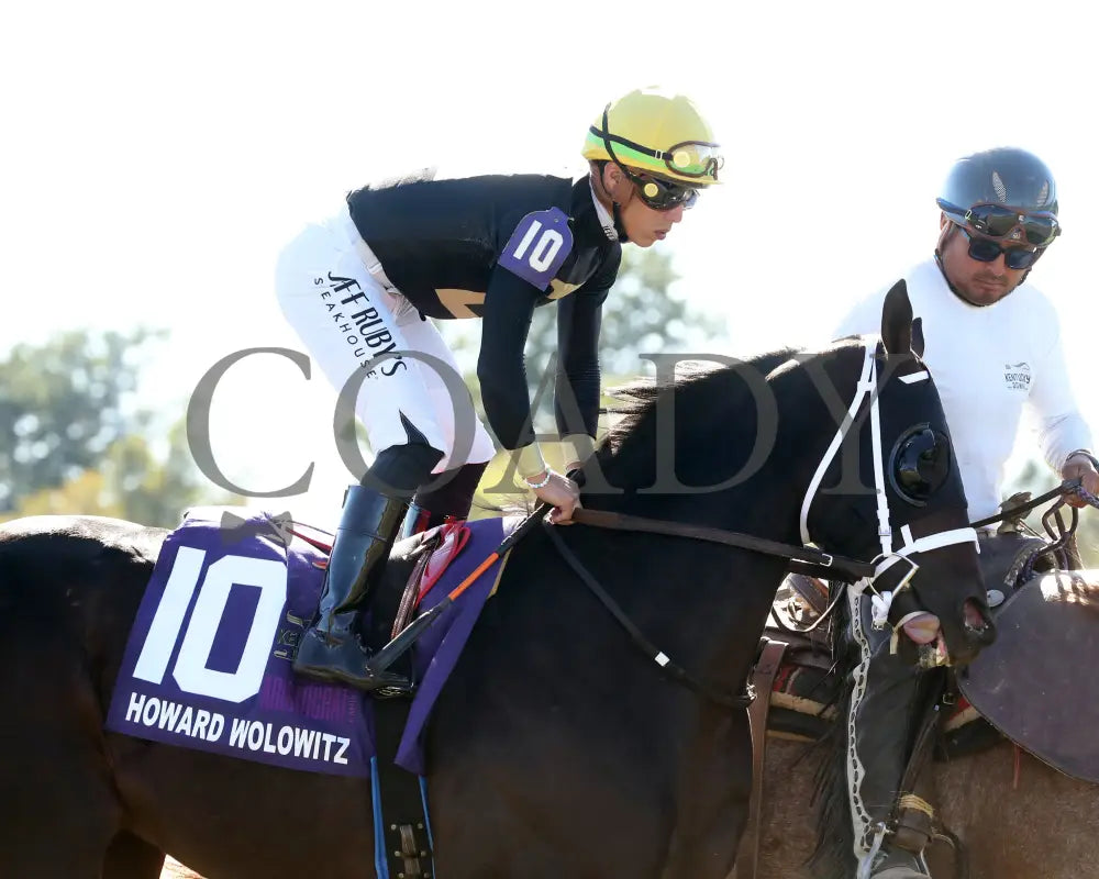 Howard Wolowitz - The Aristocrat Franklin-Simpson Stakes G1 09-07-24 R09 Kd Post Parade 02 Kentucky