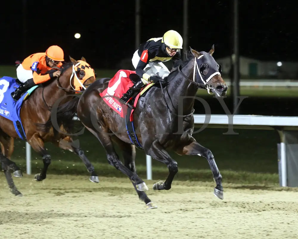 Howard Wolowitz - The Holiday Cheer 29Th Running 12-14-24 R07 Tp Finish 02 Turfway Park