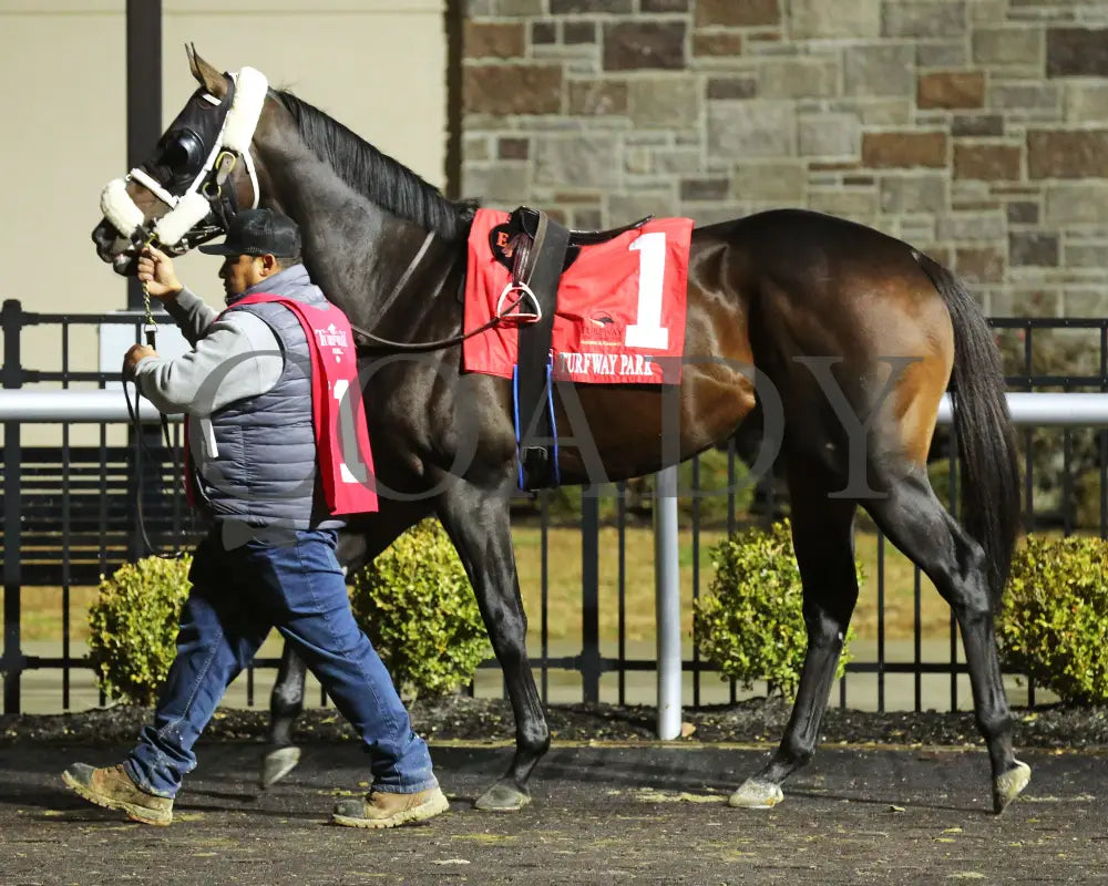 Howard Wolowitz - The Holiday Cheer 29Th Running 12-14-24 R07 Tp Paddock 01 Turfway Park