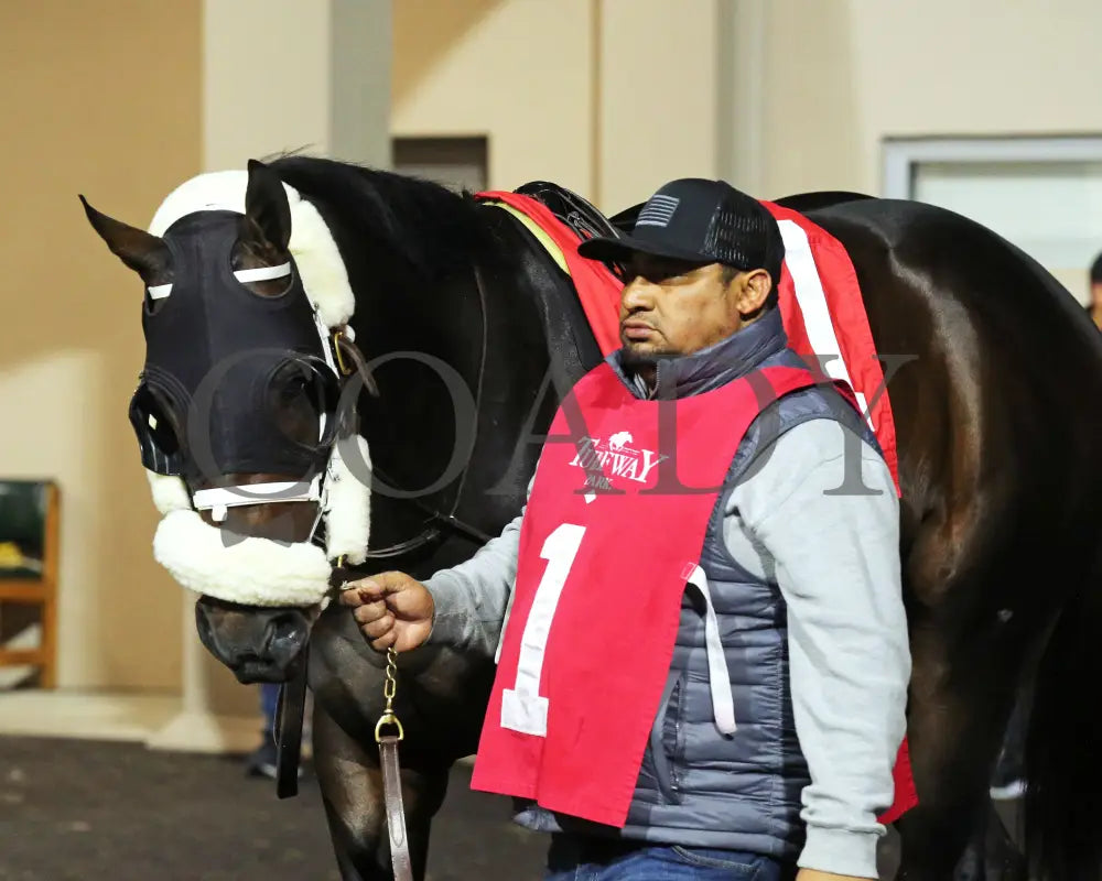 Howard Wolowitz - The Holiday Cheer 29Th Running 12-14-24 R07 Tp Paddock 02 Turfway Park