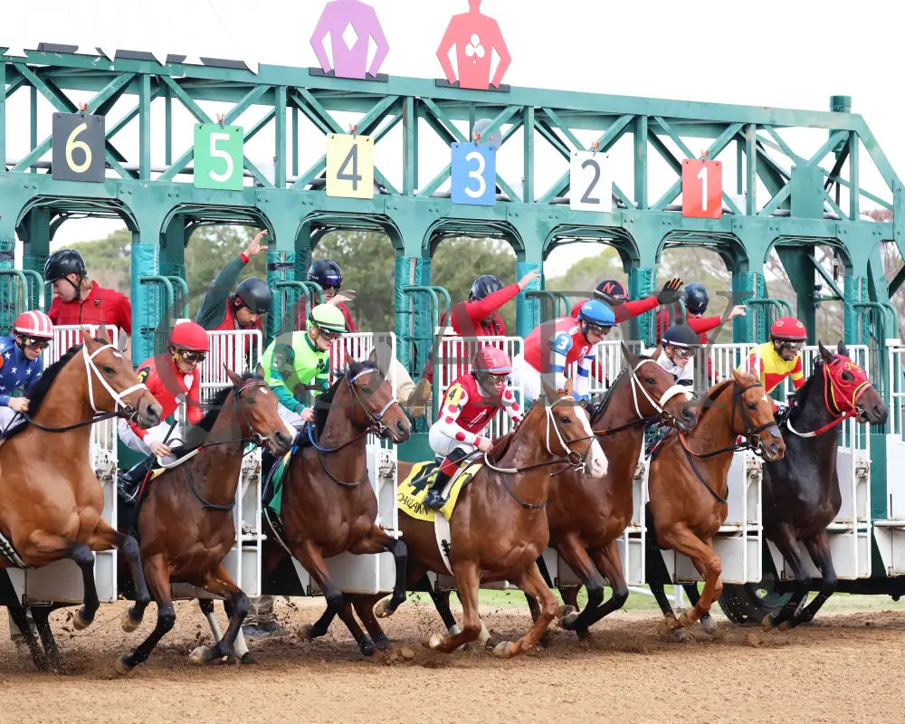 Ice Cold - Year’s End Stakes 2Nd Running 12-31-23 R09 Op Start 01 Oaklawn Park