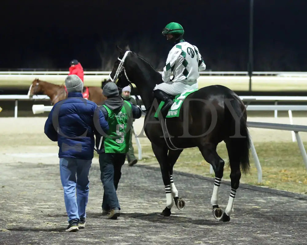 Icicles - The Likely Exchange 26Th Running 01-13-24 R08 Tp Paddock 03 Turfway Park