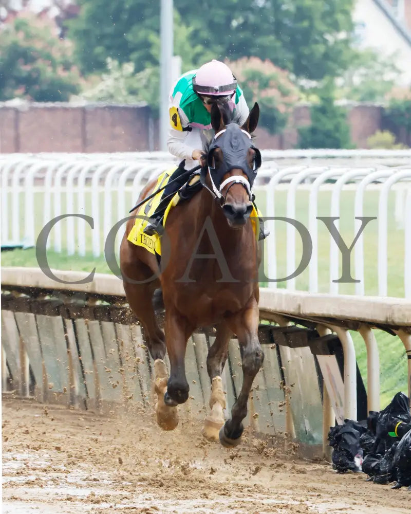 Idiomatic - The Fasig-Tipton La Troienne G1 05-03-24 R05 Cd Head On 02 Churchill Downs