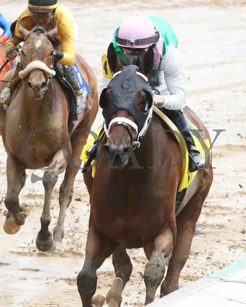 Idiomatic - The Fasig-Tipton La Troienne G1 05-03-24 R05 Cd Inside Finish 01 Churchill Downs