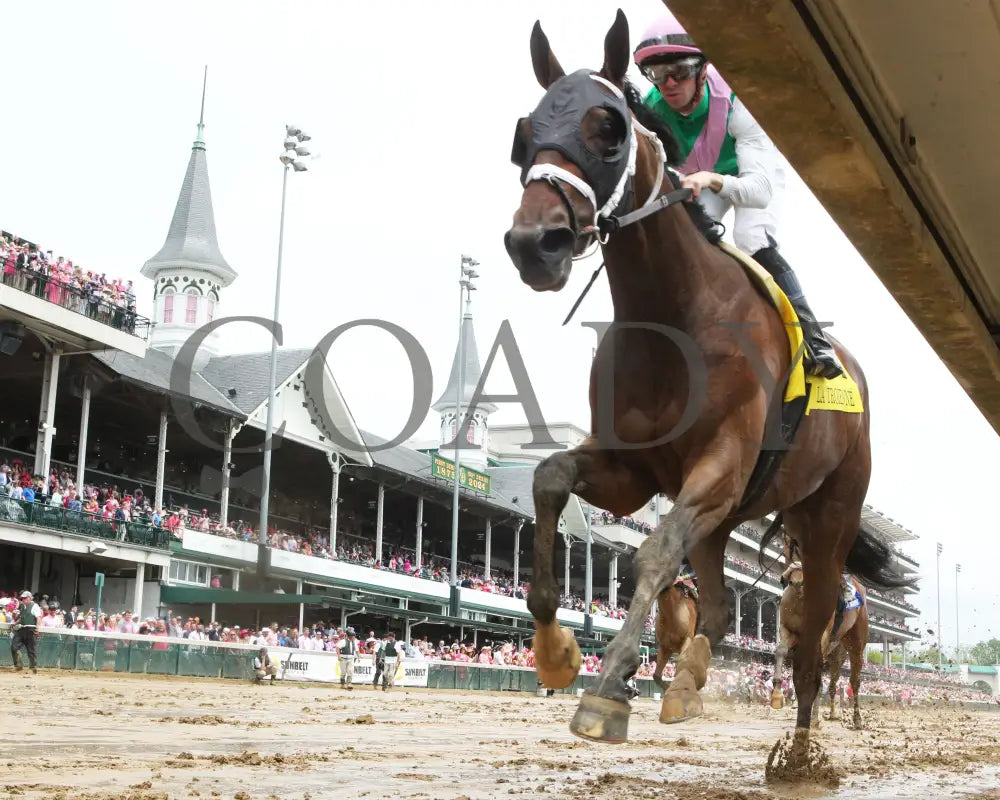 Idiomatic - The Fasig-Tipton La Troienne G1 05-03-24 R05 Cd Under Rail 01 Churchill Downs