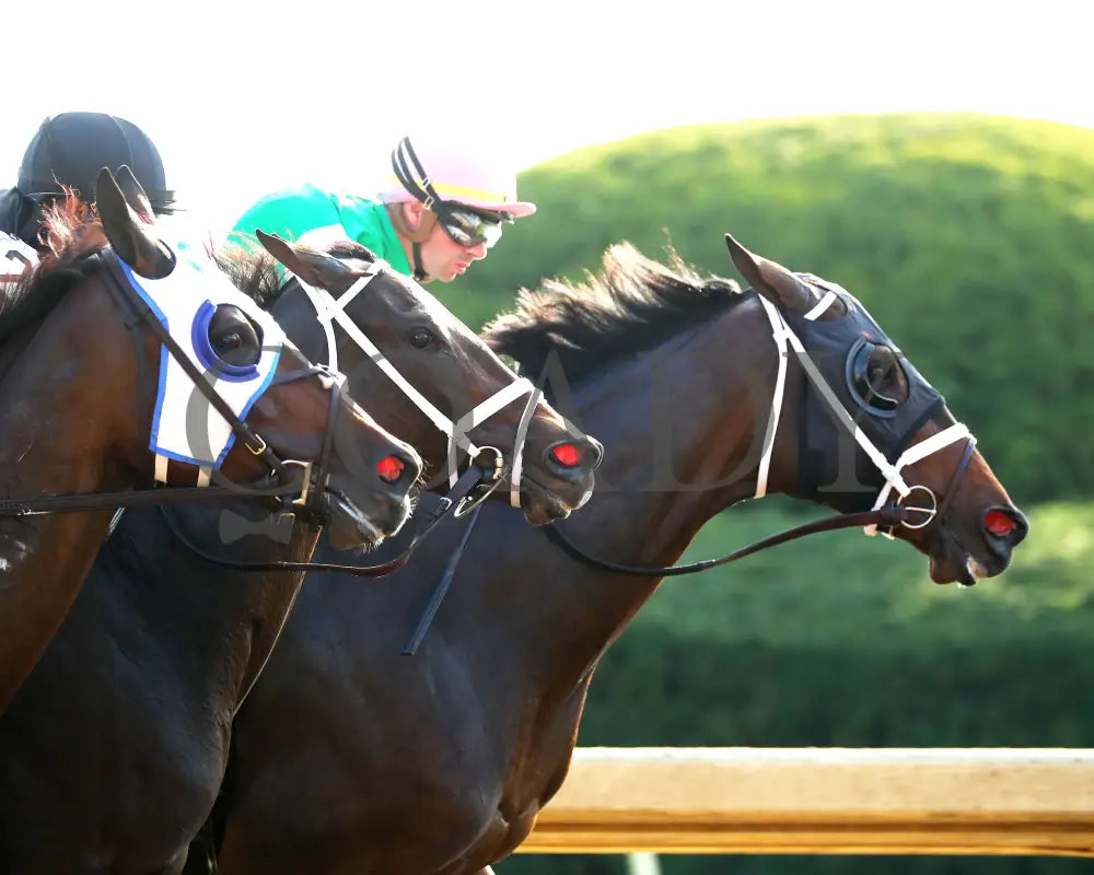 Idiomatic - The Juddmonte Spinster G1 10-06-24 R09 Kee First Pass 01 Keeneland