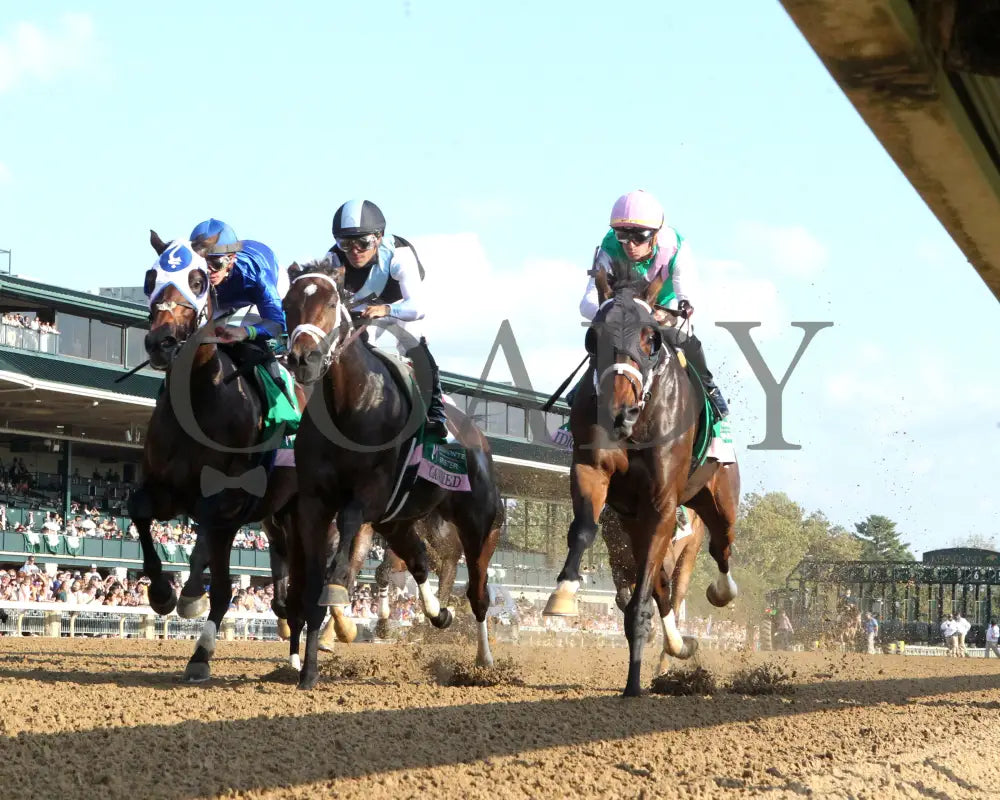 Idiomatic - The Juddmonte Spinster G1 10-06-24 R09 Kee Under Rail First Pass 01 Keeneland