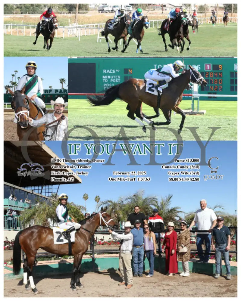 IF YOU WANT IT - 02-22-25 - R04 - TUP Turf Paradise