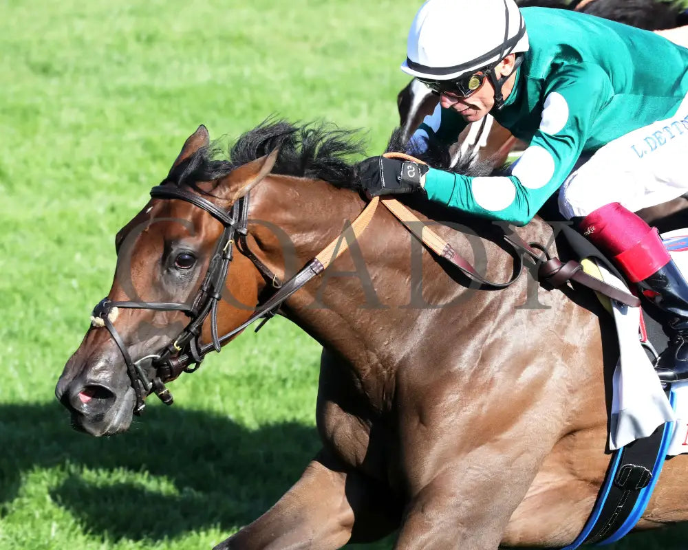 IMAGINATIONTHELADY - The Jessamine Presented by Keeneland Sales G2 - 10-03-25 - R08 - KEE - Inside Finish 01 Keeneland