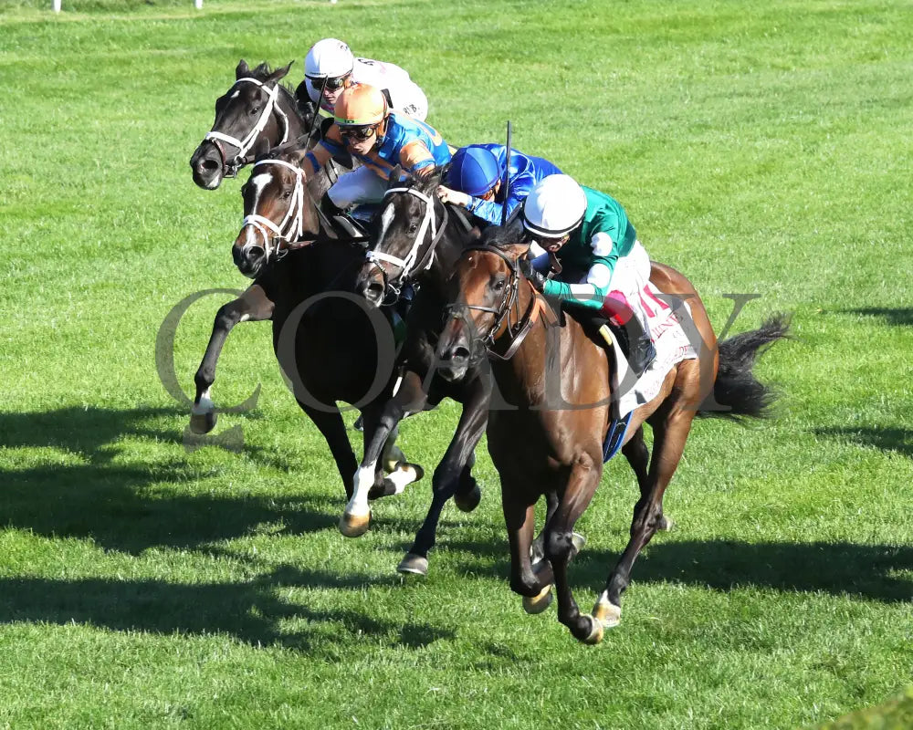 IMAGINATIONTHELADY - The Jessamine Presented by Keeneland Sales G2 - 10-03-25 - R08 - KEE - Inside Finish 03 Keeneland