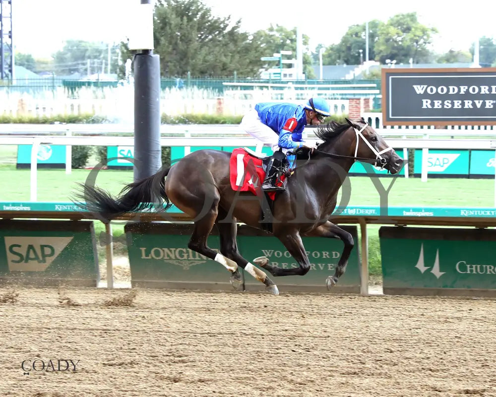 IMMERSIVE - 092025 - Race 08 - CD The Seneca Overnight Stakes - 5th Running - Finish 01 - Coady Media - Kurtis Coady Photography