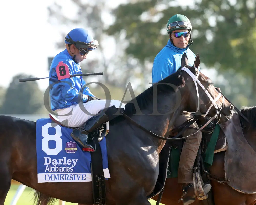 Immersive - The Darley Alcibiades G1 73Rd Running 10-04-24 R09 Kee Post Parade 01 Keeneland
