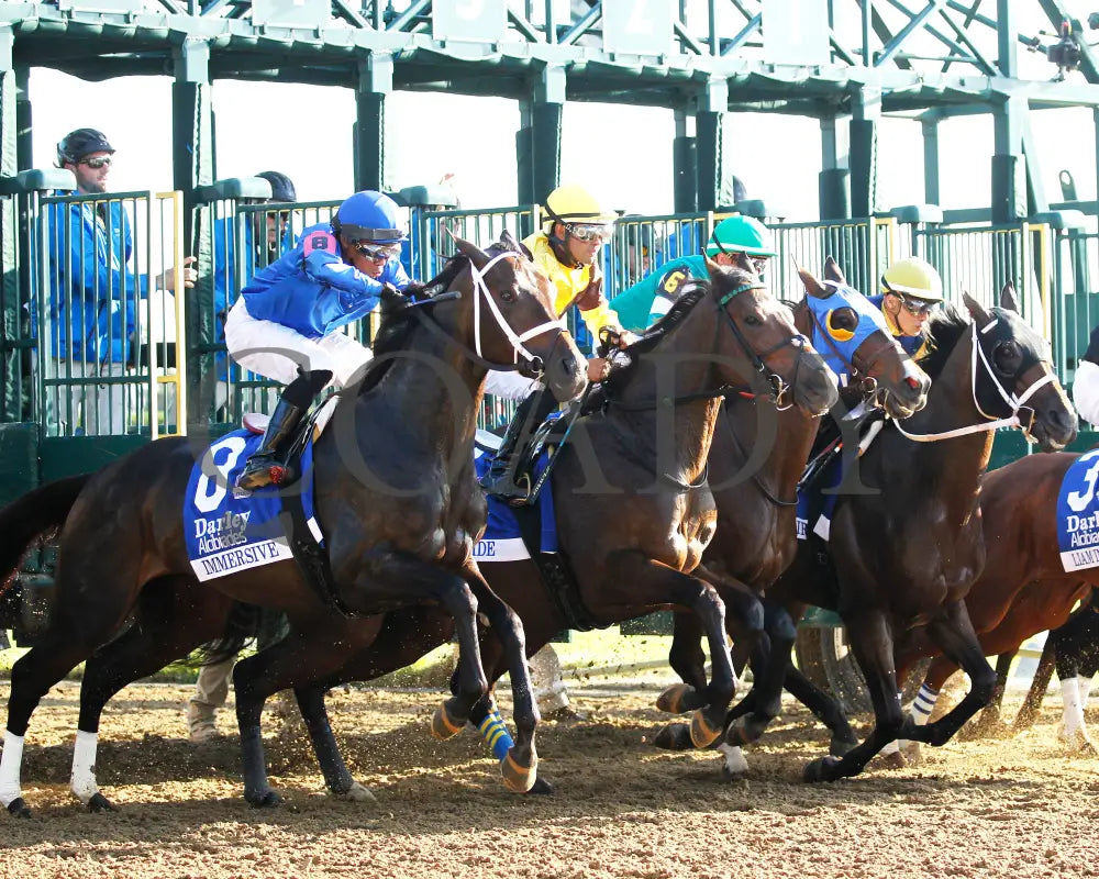 Immersive - The Darley Alcibiades G1 73Rd Running 10-04-24 R09 Kee Start 02 Keeneland