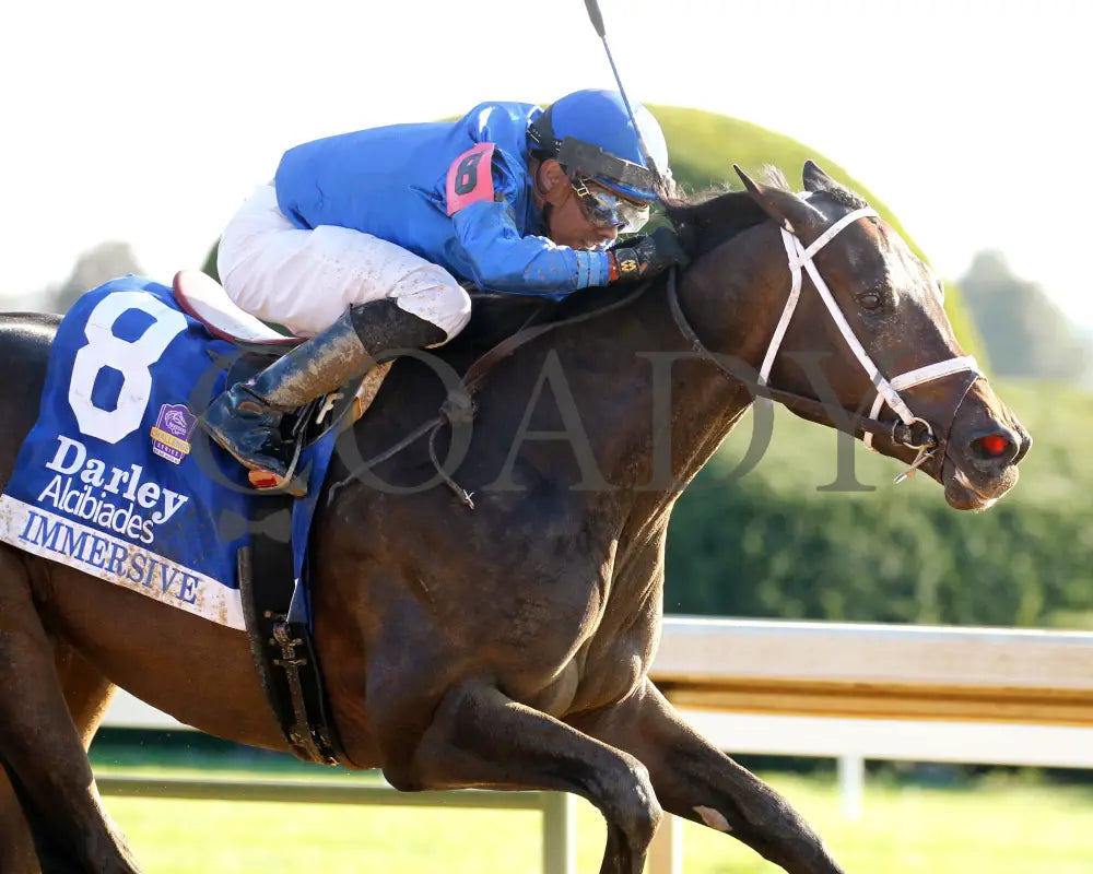 Immersive - The Darley Alcibiades G1 73Rd Running 10-04-24 R09 Kee Tight Finish 01 Keeneland