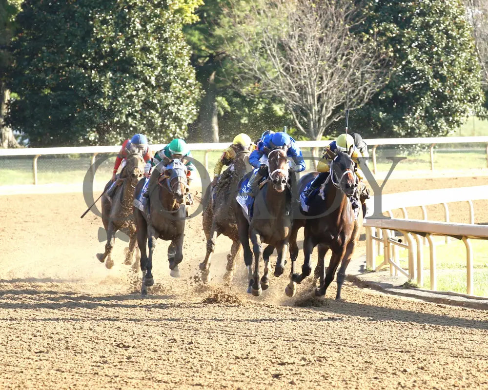 Immersive - The Darley Alcibiades G1 73Rd Running 10-04-24 R09 Kee Turn 01 Keeneland