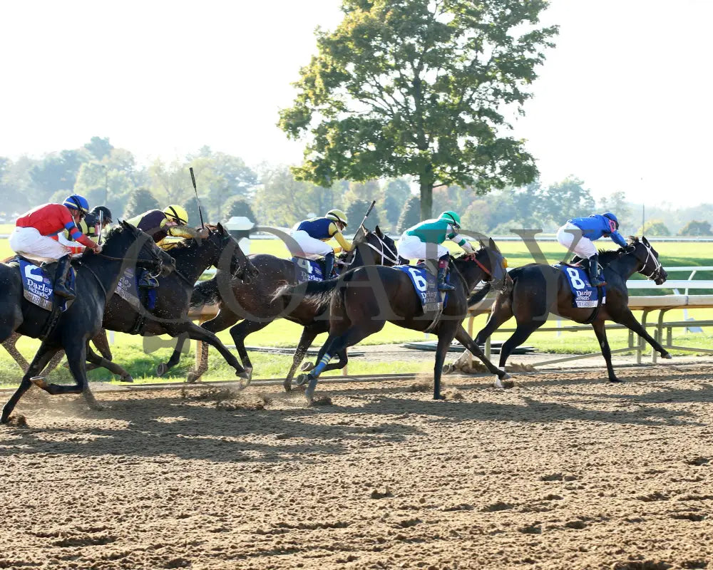 Immersive - The Darley Alcibiades G1 73Rd Running 10-04-24 R09 Kee Turn 02 Keeneland