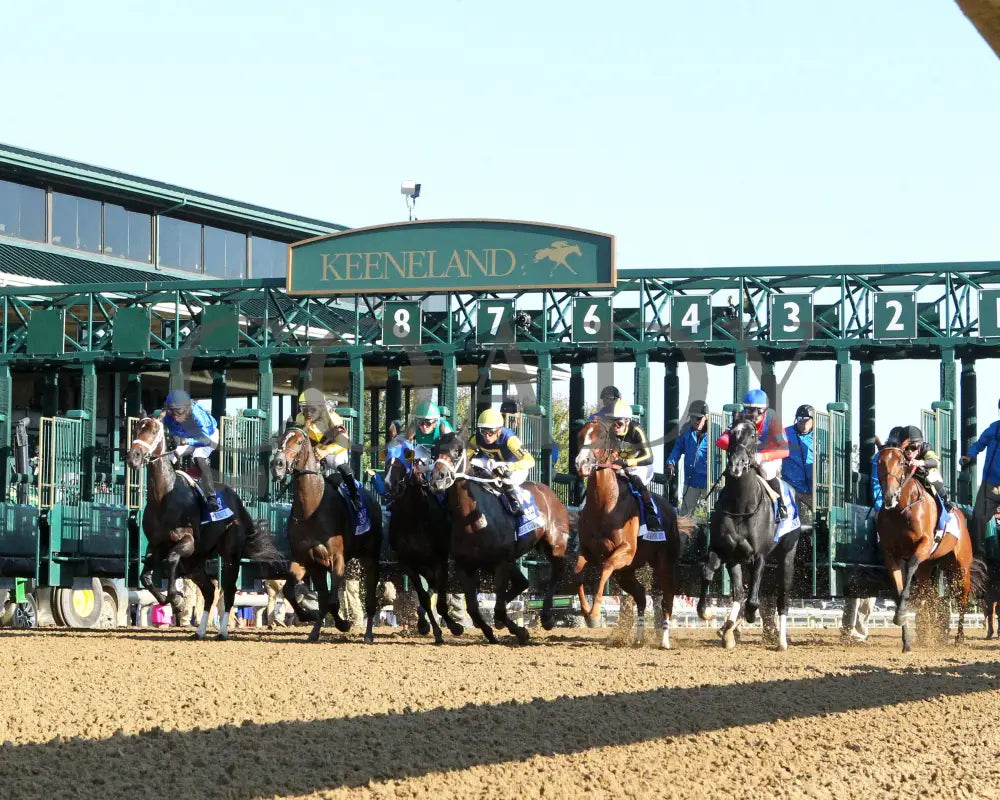 Immersive - The Darley Alcibiades G1 73Rd Running 10-04-24 R09 Kee Under Rail Keeneland