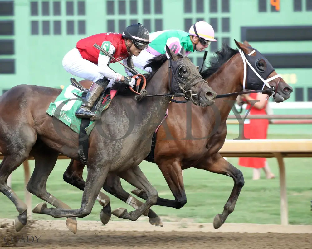 IMPEL - The Groupie Doll - 08-10-25 - R09 - ELP - Gallop Out 01 Ellis Park