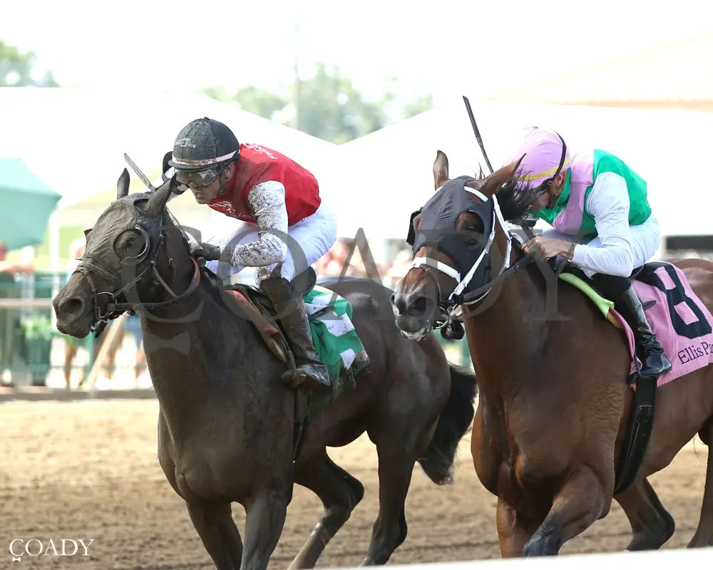 IMPEL - The Groupie Doll - 08-10-25 - R09 - ELP - Inside Finish 02 Ellis Park