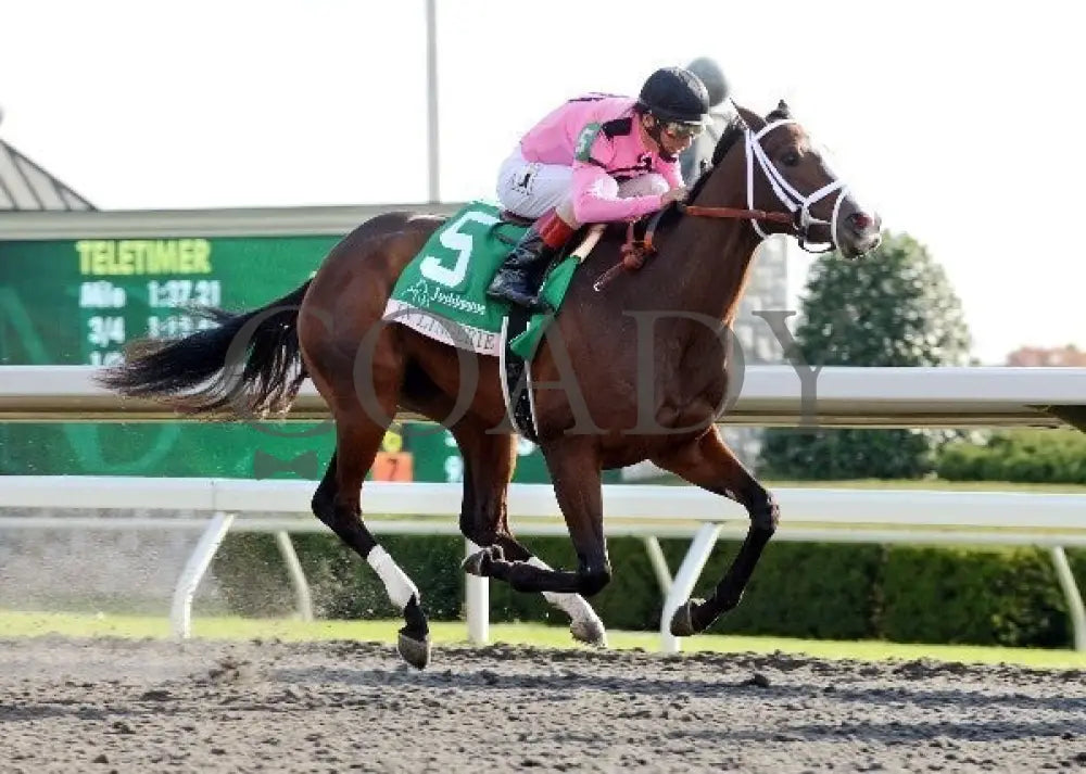 In Lingerie - Finish 2 -The 57Th Running Of The Ju Keeneland