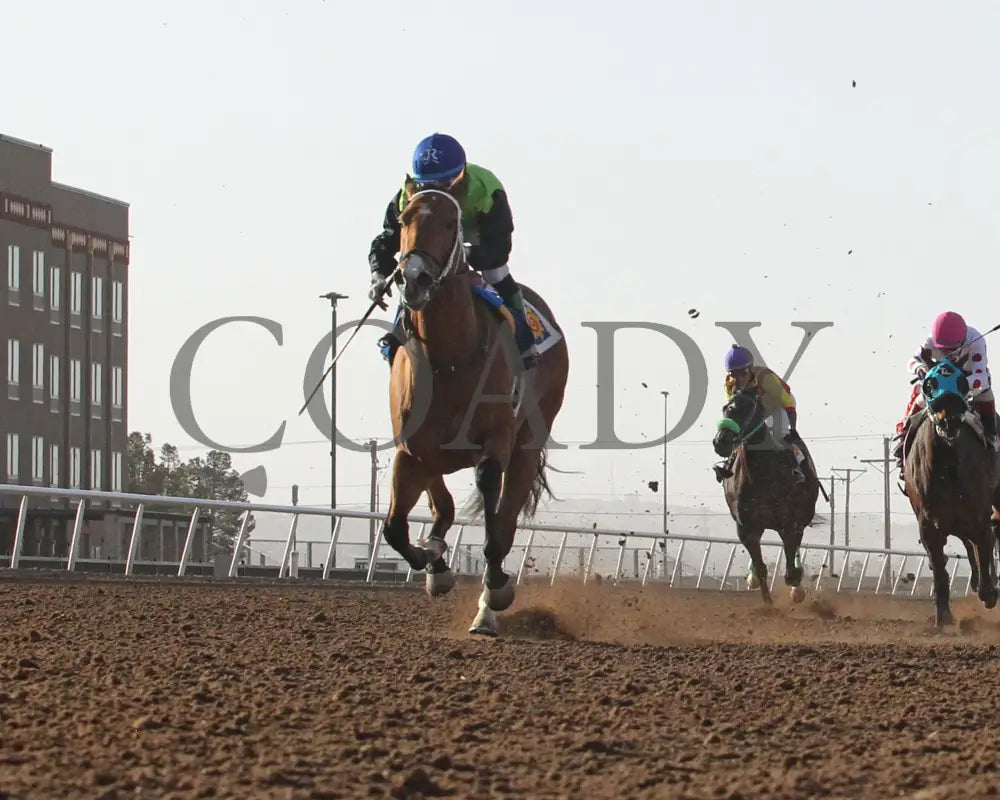 Innocence - The 27Th Running Of Borderplex Stakes 01-17-25 R08 Sunland Park Under Rail Turfway