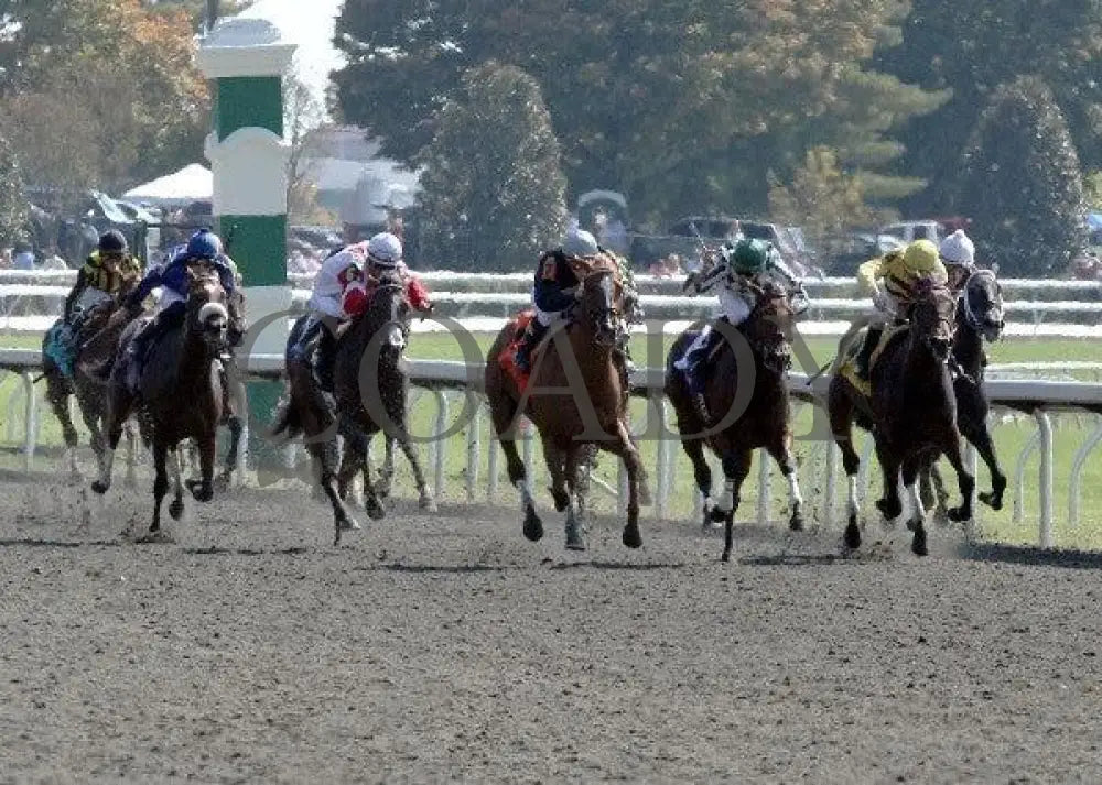 Inny Minnie - 2 100811 Race 02 Keeneland