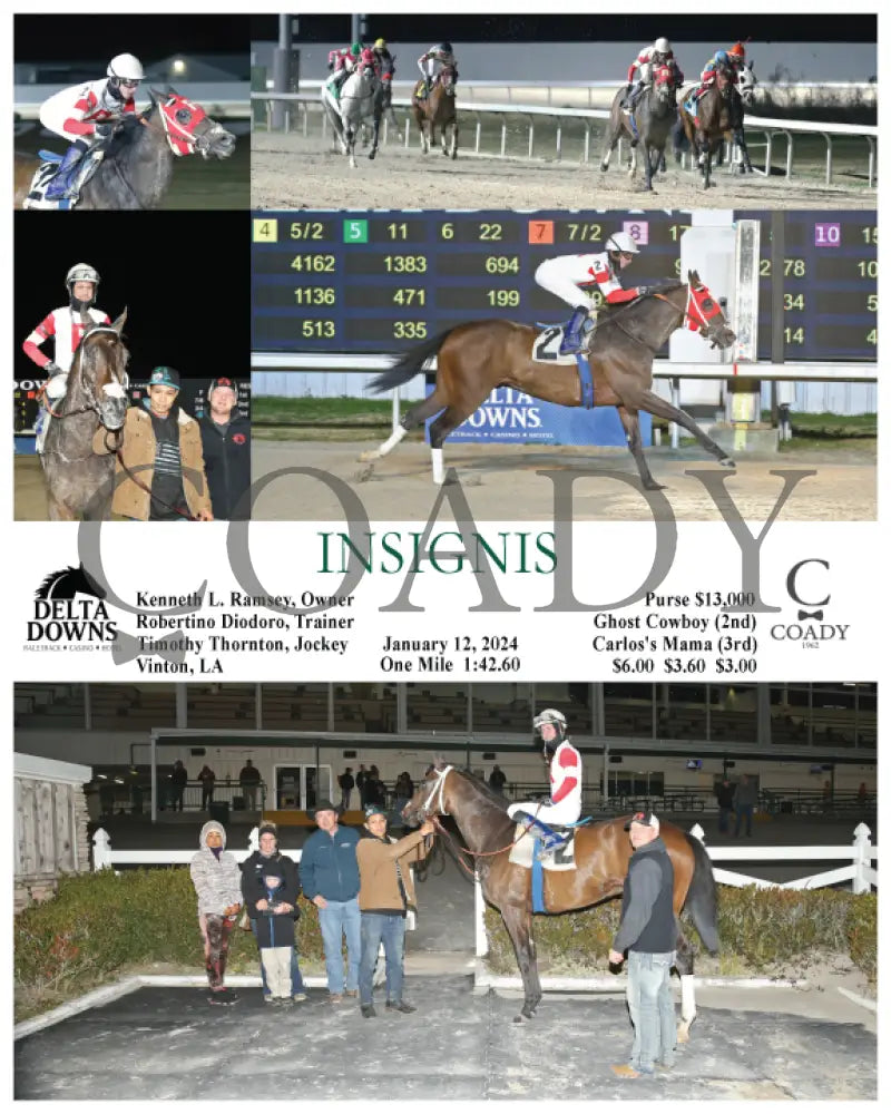 Insignis - 01-12-24 R05 Ded Delta Downs